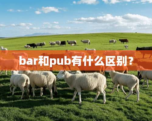 bar和pub有什么区别？