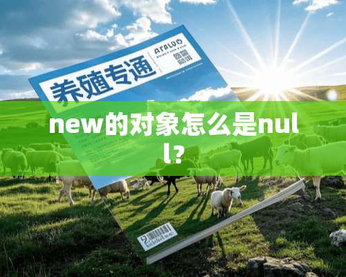 new的对象怎么是null？