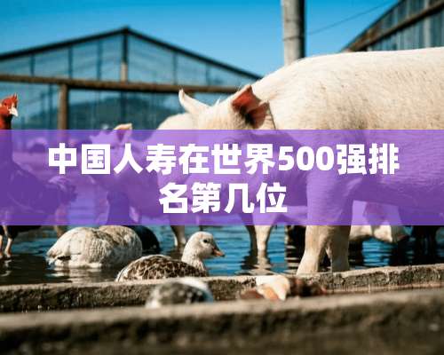 中国人寿在世界500强排名第几位