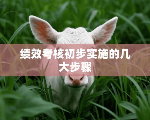 绩效考核初步实施的几大步骤