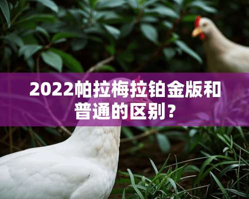 2022帕拉梅拉铂金版和普通的区别？