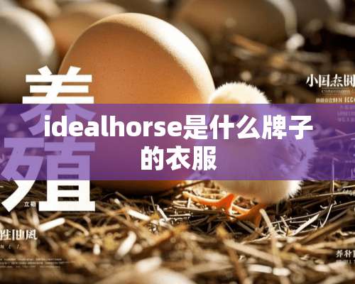 idealhorse是什么牌子的衣服