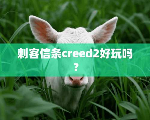 刺客信条creed2好玩吗？