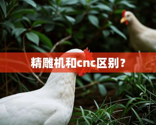 精雕机和cnc区别？