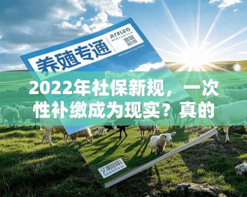 2022年社保新规，一次性补缴成为现实？真的假的？来看准确答案