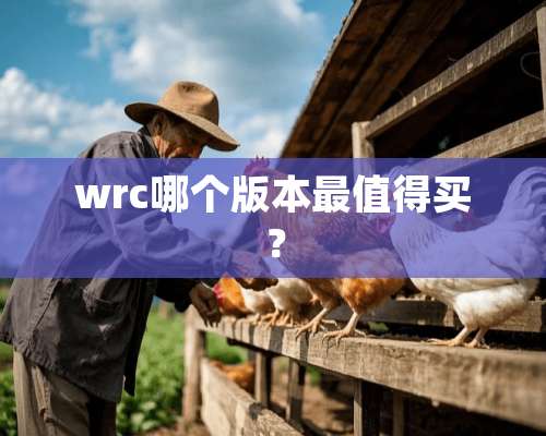 wrc哪个版本最值得买？