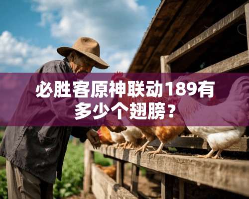 必胜客原神联动189有多少个翅膀？