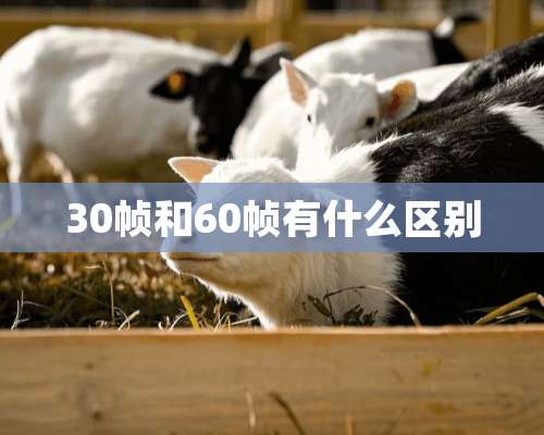 30帧和60帧有什么区别