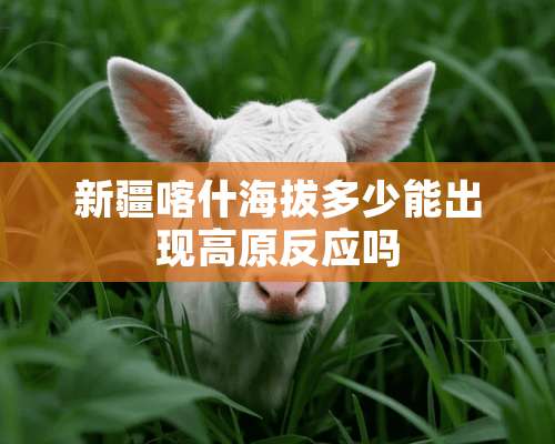 新疆喀什海拔多少能出现高原反应吗