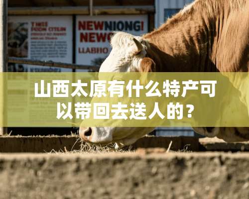 山西太原有什么特产可以带回去送人的？