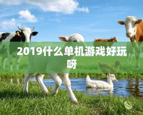 2019什么单机游戏好玩呀