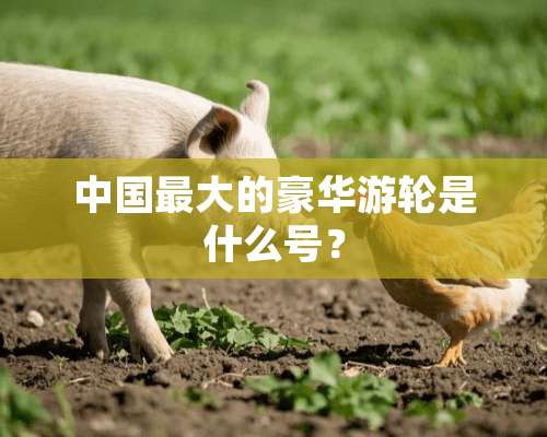 中国最大的豪华游轮是什么号？