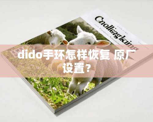 dido手环怎样恢复 原厂设置？