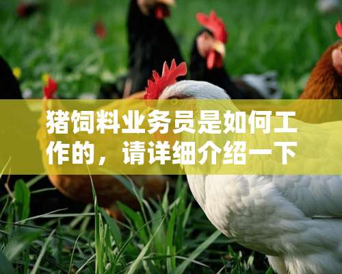 猪饲料业务员是如何工作的，请详细介绍一下。