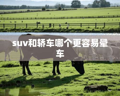 suv和轿车哪个更容易晕车