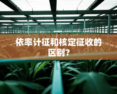 依率计征和核定征收的区别？