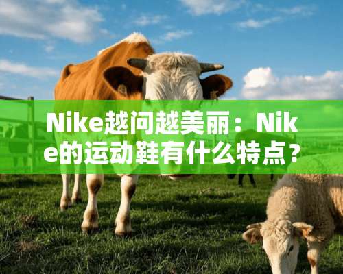 Nike越问越美丽：Nike的运动鞋有什么特点？