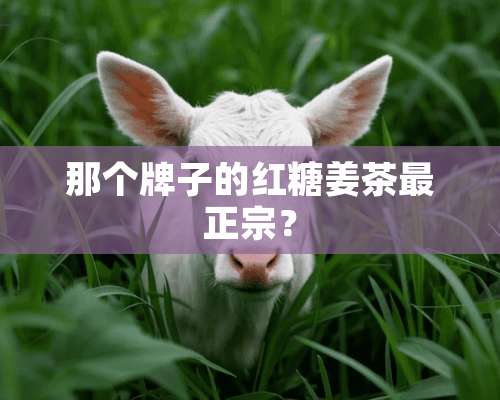 那个牌子的红糖姜茶最正宗？