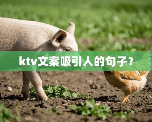 ktv文案吸引人的句子？