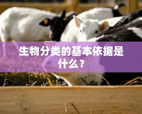 生物分类的基本依据是什么？