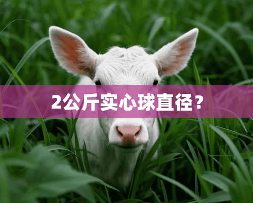 2公斤实心球直径？