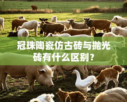 冠珠陶瓷仿古砖与抛光砖有什么区别？