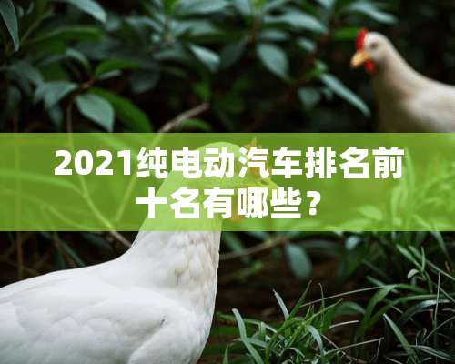 2021纯电动汽车排名前十名有哪些？