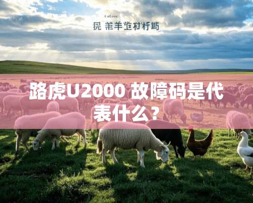 路虎U2000 故障码是代表什么？