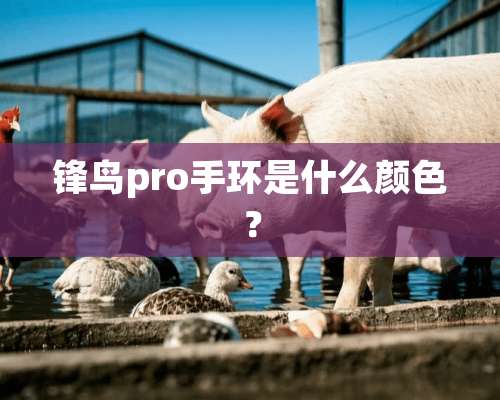 锋鸟pro手环是什么颜色？