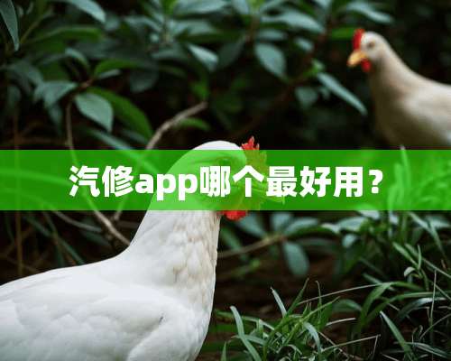 汽修app哪个最好用？