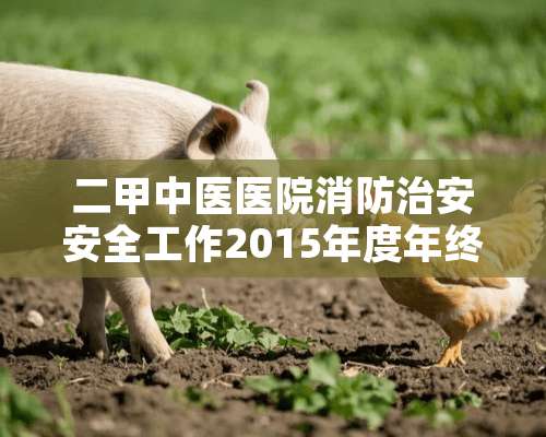 二甲中医医院消防治安安全工作2015年度年终总结报告