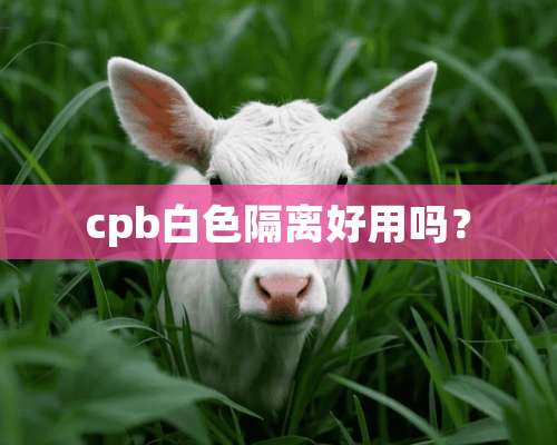 cpb白色隔离好用吗？