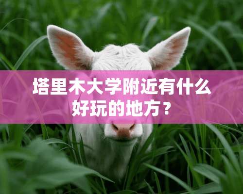 塔里木大学附近有什么好玩的地方？