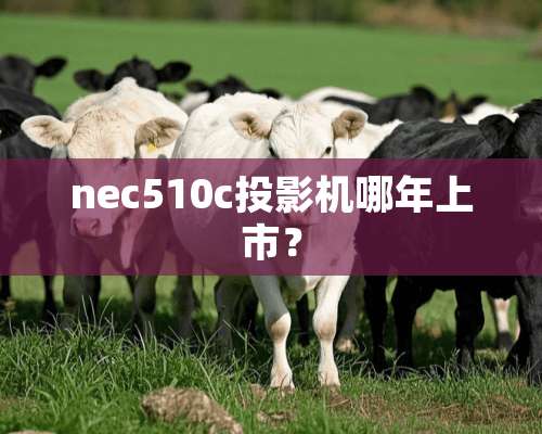 nec510c投影机哪年上市？