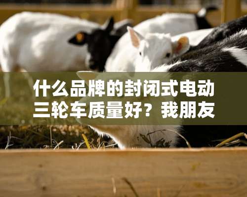 什么品牌的封闭式电动三轮车质量好？我朋友给我推荐了淮海？