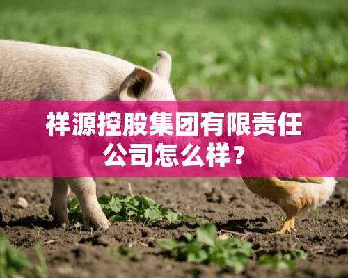 祥源控股集团有限责任公司怎么样？