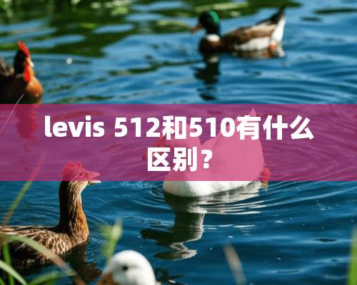 levis 512和510有什么区别？