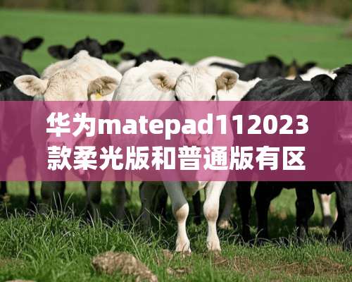 华为matepad112023款柔光版和普通版有区别吗？