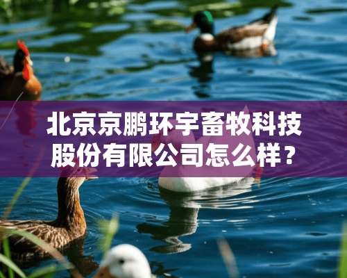 北京京鹏环宇畜牧科技股份有限公司怎么样？