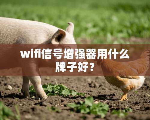 wifi信号增强器用什么牌子好？