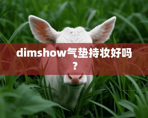 dimshow气垫持妆好吗？