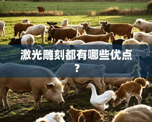 激光雕刻都有哪些优点？