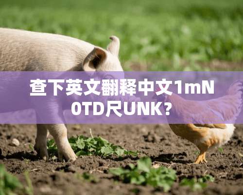 查下英文翻释中文1mN0TD尺UNK？