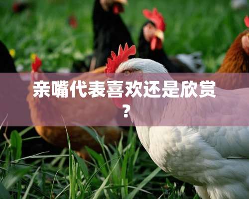 亲嘴代表喜欢还是欣赏？