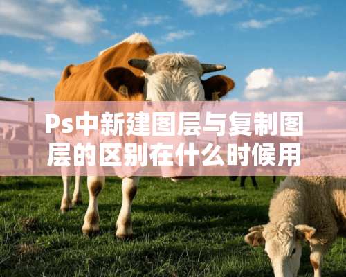 Ps中新建图层与复制图层的区别在什么时候用新建什么时候用复制，