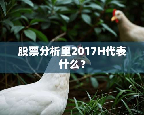 股票分析里2017H代表什么？