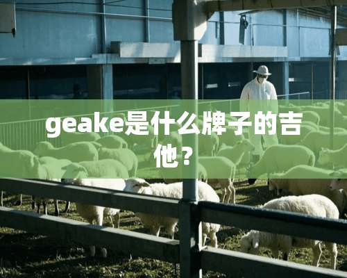 geake是什么牌子的吉他？