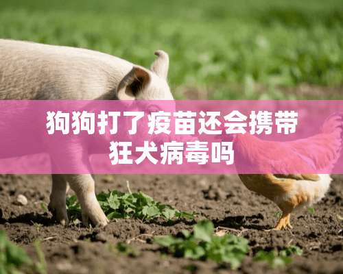 狗狗打了疫苗还会携带狂犬病毒吗