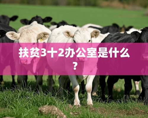 扶贫3十2办公室是什么？