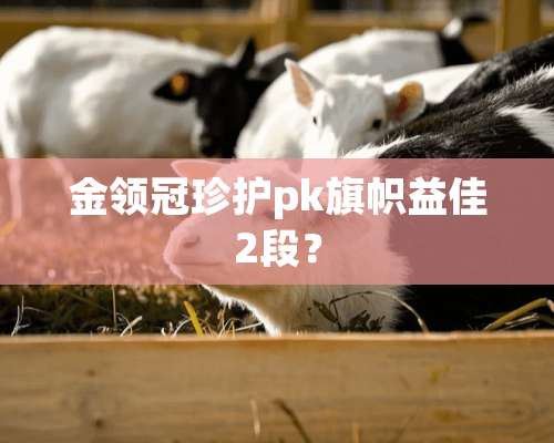 金领冠珍护pk旗帜益佳2段？